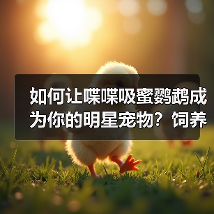 如何让喋喋吸蜜鹦鹉成为你的明星宠物？饲养全攻略