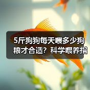 5斤狗狗每天喂多少狗粮才合适?科学喂养指南(图4) 5斤狗狗每天喂多少狗粮才合适?科学喂养指南(图4)