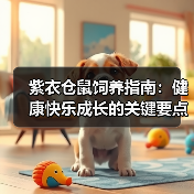 紫衣仓鼠饲养指南:健康快乐成长的关键要点(图4) 紫衣仓鼠饲养指南:健康快乐成长的关键要点(图4)