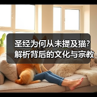 圣经为何从未提及猫?解析背后的文化与宗教原因(图4) 圣经为何从未提及猫?解析背后的文化与宗教原因(图4)