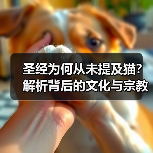 圣经为何从未提及猫?解析背后的文化与宗教原因(图3) 圣经为何从未提及猫?解析背后的文化与宗教原因(图3)