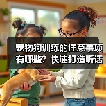 宠物狗训练的注意事项有哪些？快速打造听话好狗狗