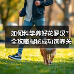 如何科学养好花罗汉?全攻略揭秘成功饲养关键(图4) 如何科学养好花罗汉?全攻略揭秘成功饲养关键(图4)
