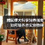 捕鼠梗犬科学饲养指南：如何培养忠实宠物伴侣