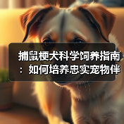 捕鼠梗犬科学饲养指南:如何培养忠实宠物伴侣(图3) 捕鼠梗犬科学饲养指南:如何培养忠实宠物伴侣(图3)