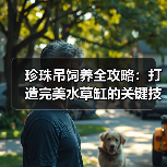珍珠吊饲养全攻略：打造完美水草缸的关键技巧