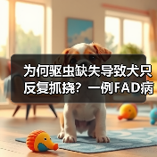 为何驱虫缺失导致犬只反复抓挠？一例FAD病例分析(图2)