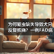 为何驱虫缺失导致犬只反复抓挠？一例FAD病例分析(图3)