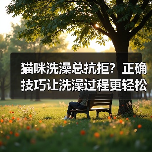 猫咪洗澡总抗拒?正确技巧让洗澡过程更轻松(图2) 猫咪洗澡总抗拒?正确技巧让洗澡过程更轻松(图2)