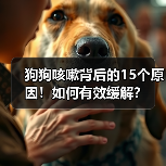 狗狗咳嗽背后的15个原因！如何有效缓解？(图3)