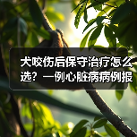 犬咬伤后保守治疗怎么选？一例心脏病病例报告(图3)