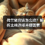 荷兰猪应该怎么吃？解析主粮选择关键因素(图3)