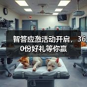智答应激活动开启，360份好礼等你赢(图2)
