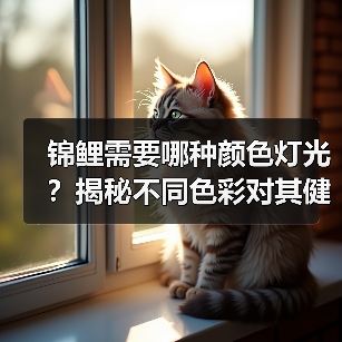 锦鲤需要哪种颜色灯光?揭秘不同色彩对其健康与颜色的影响(图2) 锦鲤需要哪种颜色灯光?揭秘不同色彩对其健康与颜色的影响(图2)