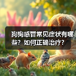 狗狗感冒常见症状有哪些？如何正确治疗？(图2)