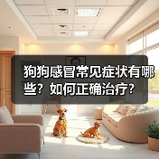 狗狗感冒常见症状有哪些？如何正确治疗？(图4)