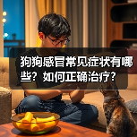 狗狗感冒常见症状有哪些？如何正确治疗？(图3)