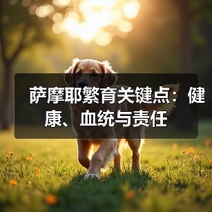 萨摩耶繁育关键点：健康、血统与责任