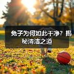 兔子为何如此干净?揭秘清洁之道(图3) 兔子为何如此干净?揭秘清洁之道(图3)