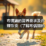 布偶猫的营养需求及合理饮食（了解布偶猫的营养需求，给予科学饮食，让它们更健康快乐