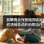 狗肠胃炎伴发烧应该如何选择合适的药物治疗（药物治疗狗肠胃炎伴发烧的指南及注意事项