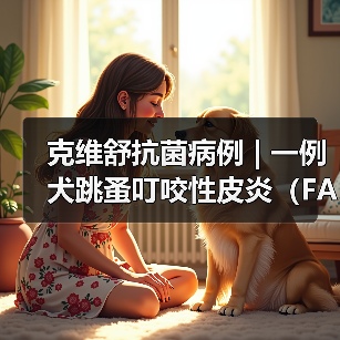 克维舒抗菌病例 | 一例犬跳蚤叮咬性皮炎(FAD)的病例分析(图3) 克维舒抗菌病例 | 一例犬跳蚤叮咬性皮炎(FAD)的病例分析(图3)