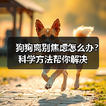 狗狗离别焦虑怎么办?科学方法帮你解决(图1) 狗狗离别焦虑怎么办?科学方法帮你解决(图1)