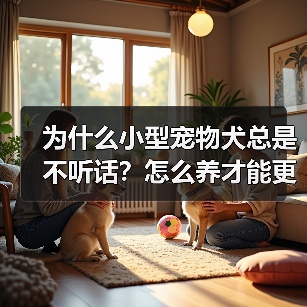 为什么小型宠物犬总是不听话?怎么养才能更听话?(图2) 为什么小型宠物犬总是不听话?怎么养才能更听话?(图2)