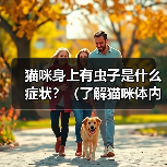 猫咪身上有虫子是什么症状?(了解猫咪体内寄生虫带来的健康问题与预防方法)(图2) 猫咪身上有虫子是什么症状?(了解猫咪体内寄生虫带来的健康问题与预防方法)(图2)