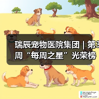 瑞辰宠物医院集团 | 第3周“每周之星”光荣榜(图2) 瑞辰宠物医院集团 | 第3周“每周之星”光荣榜(图2)