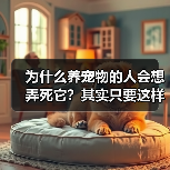 为什么养宠物的人会想弄死它？其实只要这样做就能解决(图3)