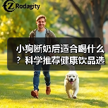 小狗断奶后适合喝什么？科学推荐健康饮品选择(图2)