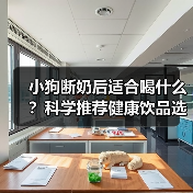 小狗断奶后适合喝什么？科学推荐健康饮品选择(图4)