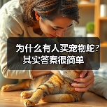 为什么有人买宠物蛇?其实答案很简单(图1) 为什么有人买宠物蛇?其实答案很简单(图1)