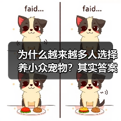 为什么越来越多人选择养小众宠物?其实答案很简单(图1) 为什么越来越多人选择养小众宠物?其实答案很简单(图1)