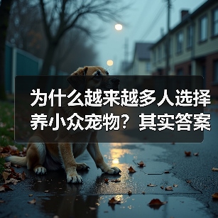 为什么越来越多人选择养小众宠物?其实答案很简单(图4) 为什么越来越多人选择养小众宠物?其实答案很简单(图4)