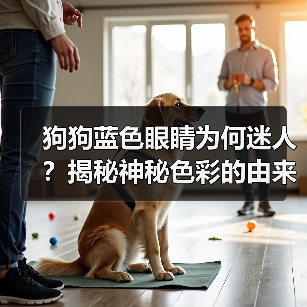 狗狗蓝色眼睛为何迷人？揭秘神秘色彩的由来与意义(图4)
