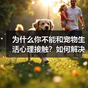 为什么你不能和宠物生活心理接触？如何解决？(图2)