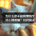 为什么你不能和宠物生活心理接触？如何解决？(图3)