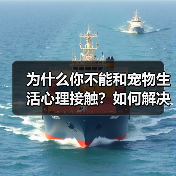 为什么你不能和宠物生活心理接触？如何解决？(图4)