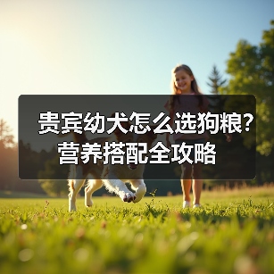 贵宾幼犬怎么选狗粮?营养搭配全攻略(图2) 贵宾幼犬怎么选狗粮?营养搭配全攻略(图2)