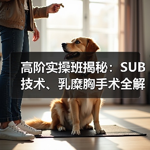 高阶实操班揭秘：SUB技术、乳糜胸手术全解析！