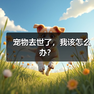 宠物去世了，我该怎么办？(图1)