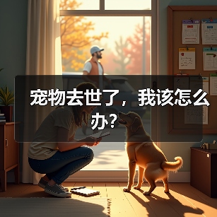 宠物去世了，我该怎么办？(图3)