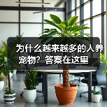 为什么越来越多的人养宠物?答案在这里(图1) 为什么越来越多的人养宠物?答案在这里(图1)