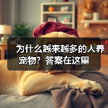 为什么越来越多的人养宠物?答案在这里(图3) 为什么越来越多的人养宠物?答案在这里(图3)