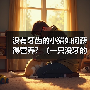 没有牙齿的小猫如何获得营养？（一只没牙的小猫需要特殊饮食照顾）