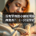 没有牙齿的小猫如何获得营养?(一只没牙的小猫需要特殊饮食照顾)(图3) 没有牙齿的小猫如何获得营养?(一只没牙的小猫需要特殊饮食照顾)(图3)