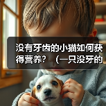 没有牙齿的小猫如何获得营养?(一只没牙的小猫需要特殊饮食照顾)(图4) 没有牙齿的小猫如何获得营养?(一只没牙的小猫需要特殊饮食照顾)(图4)