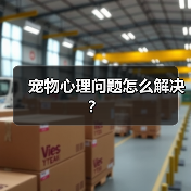宠物心理问题怎么解决？(图1)